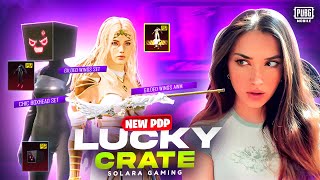 NEW PDP LUCKY CRATE || CHIC BOXHEAD + GILDED WING SET || PUBG MOBILE