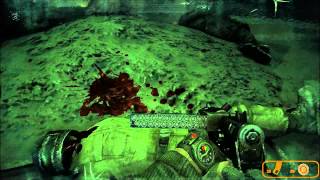 Metro 2033 ghosts and anomalies
