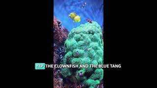 Family Adventures to the Monterey Bay Aquarium #Monterey #montereybayaquarium #adventure #family 