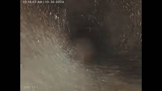 3838704 Salazar Bloomingdale Sewer repair