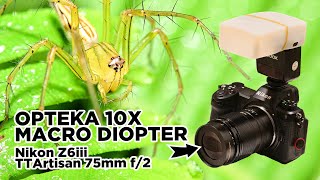 OPTEKA 10x Macro Diopter on Nikon Z6iii