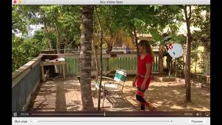 Blur Video Spot - macOS