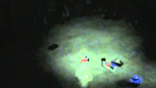 PENNHURST RAW INVESTIGATION FOOTAGE 3/2014