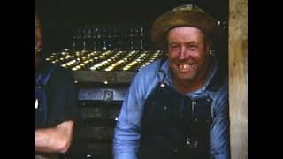 Mug Up (Historic Cannery Footage)
