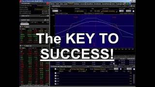 The Stock & Options Trading Pro System