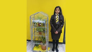 Miraya Vyas: "Climate change, the green wall" | Research Showcase