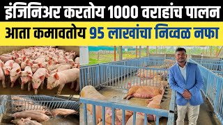 इंजिनिअरच 1000 डुकरांच वराह पालन | Pig Farming Maharashtra | Pig Farm | Dukkar Palan