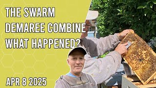 The Swarm Demaree Combine - What Happened? - Jacksonville FL Zone 9b
