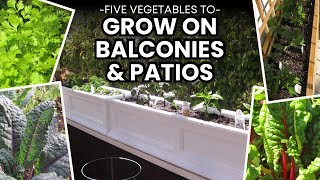 5 Vegetables for Your Patio and Balcony - Grow These in Small Space