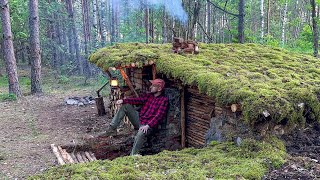🔥 Building a Stone Survival Bunker Inside a Wolf Den – Jungle Survival Skills