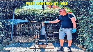 Pest Control St Ives  Micropest Pest Control Sydney