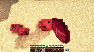 Cowboy SMP FINALE Episode 13 - Apokuna POV