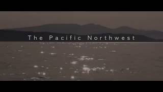 "The Final Breach" - 2019 WCFF Trailer