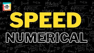 SPEED EQUATION & AVERAGE SPEED NUMERICAL | SCIENCE | GRADE 6 | The Study Pod