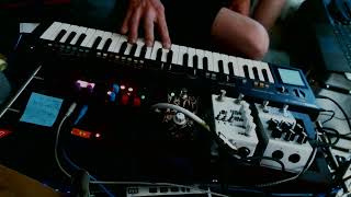 Geranium / Live dawless JUL282022 ft. MicroGranny / Count to 5 / Casio PT 100 / D1 / Dark Aura