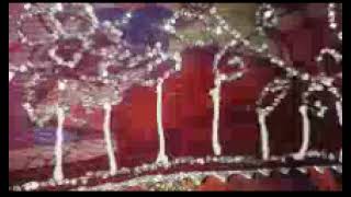 Heavy border design saree jarkan work
