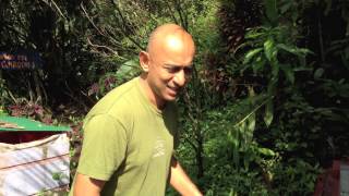 Recycling at Hedonisia Hawaii Eco-Community
