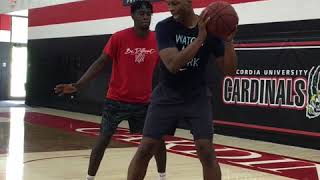 METICULOUS BASKETBALL - HOW TO SCORE IN THE POST (ol’ school edition)