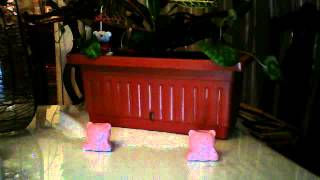 Webcam video from July 25, 2013 8:59 PM