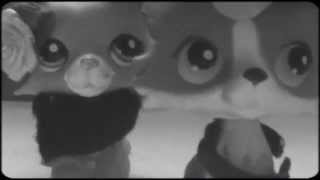 LPS Mv Do I wanna know?