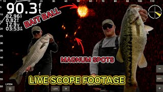 LIVE SCOPING spotted bass in 100FT OF WATER (Lake Lanier)