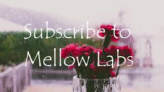 8 HOURS of GENTLE RAIN - Relaxing,  Soothing, Mellow, Rain Sounds For Sleeping