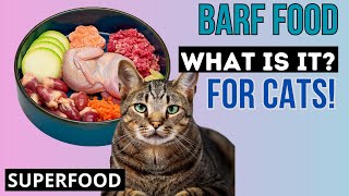 BARF Diet for Cats.  Pros & Cons!