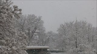 Strani avvistamenti durante una nevicata
