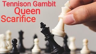 Tennison Gambit trick Oueen scarifice   Tiger chess