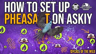 How to SETUP a Pheasant Grind on Askiy Ridge - Super Easy Guide!
