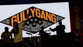 GULLY GANG || THEME SONG || VIGNAN || TARANG || 2017
