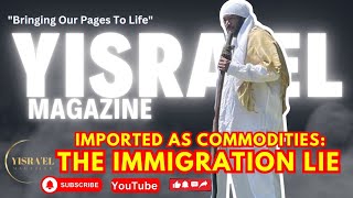Imported, Not Immigrants: The Hidden Truth of Our Identity (Part 1)