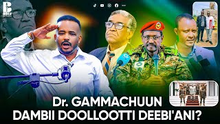 GINGILCHAA Dr. Gammachuun Dambii Doillootti Deebi'an