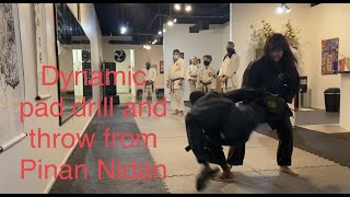 Dynamic Pad Drill and Throw from Pinan Nidan