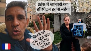 😿Our Cat got Sick, we're going to the Veterinary 🐈 | Indian in France