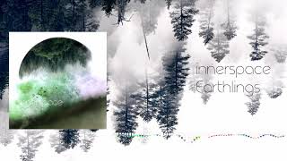 innerspace - Earthlings