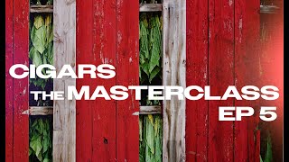 Cigars: The Masterclass | CURING | Episode Five