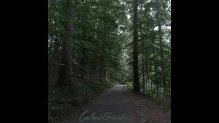 Camphor