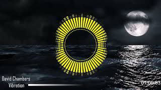 David Chambers - Vibration