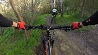 MTB Edits -  Riding Local Yarra Trails