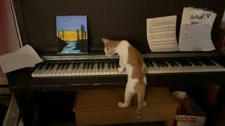 Catwig Beethoven
