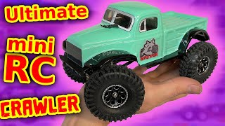 Project World's Best mini RC Crawler