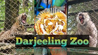 Padmaja Naidu Himalayan Zoological Park |  Darjeeling Tour 2023 |