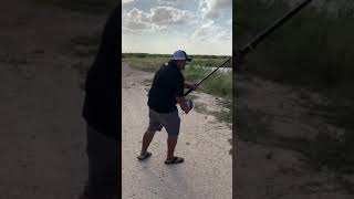 1st Alligator Gar ever caught on an Alvey Reel!