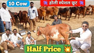 ​होली महा-धमाका: 🫟 आधी कीमत में 10 गाय और 1 Sahiwal बुल 😱 दूध तौलकर लें, ऐसा ऑफर फिर कभी नहीं मिलेगा