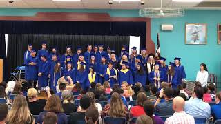Davis Dolphins 2019