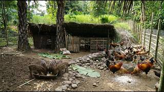 Preparing the Shelter and Caring for My Livestock| 365 Days of Survival in the Deep Forest | Ep 33