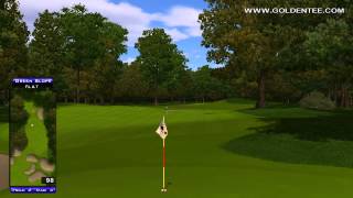 Golden Tee Great Shot on Shady Acres!