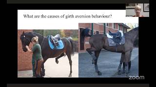 Live with Dr. Sue Dyson: Ulcers and Behavior - the Latest Research