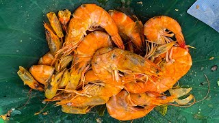 How to cook shrimp with the​​ ​young coconut | the rural show of beautiful green view and cooking!